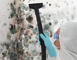 Trusted Mahopac, NY Mold Removal Experts